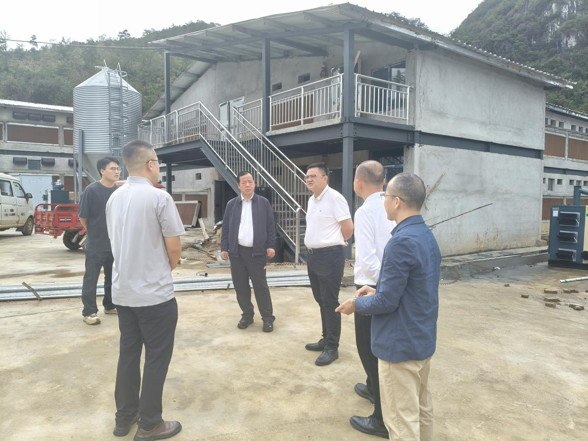 广东省粤黔协作工作队安顺工作组赴紫云自治县调研指导东西部协作工作